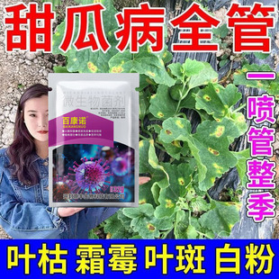 甜瓜枯萎病专用甜瓜病全治香瓜叶片黑斑枯萎腐烂正品蔓枯病药