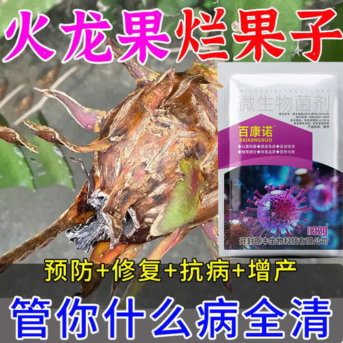 溃疡病软腐病火龙果病专用杀菌剂炭疽病通用生物菌剂火龙果烟煤病