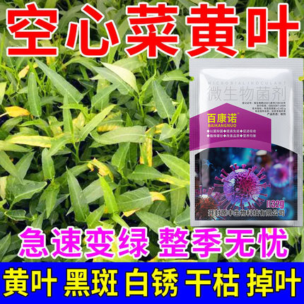 蔬菜空心菜病害通用药茎腐病叶斑病锈病黄叶病专用药空心菜正品