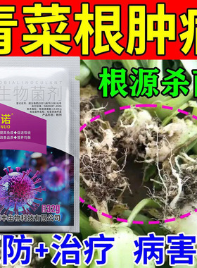 上海青油麦菜小青菜通用杀菌剂白粉病霜霉病萎蔫病专用生物杀菌剂