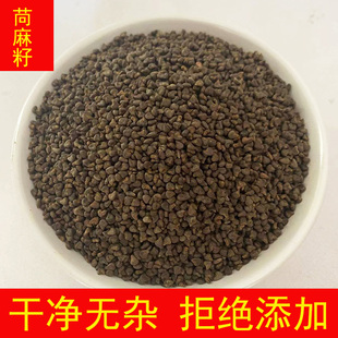 苘麻子中药材500克 炒熟苘麻子 正品青麻子白麻子茴麻子 苘麻籽粉