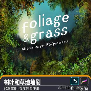 森林场景树叶针叶草丛苔藓植物PS笔刷procreate画笔绘画设计素材