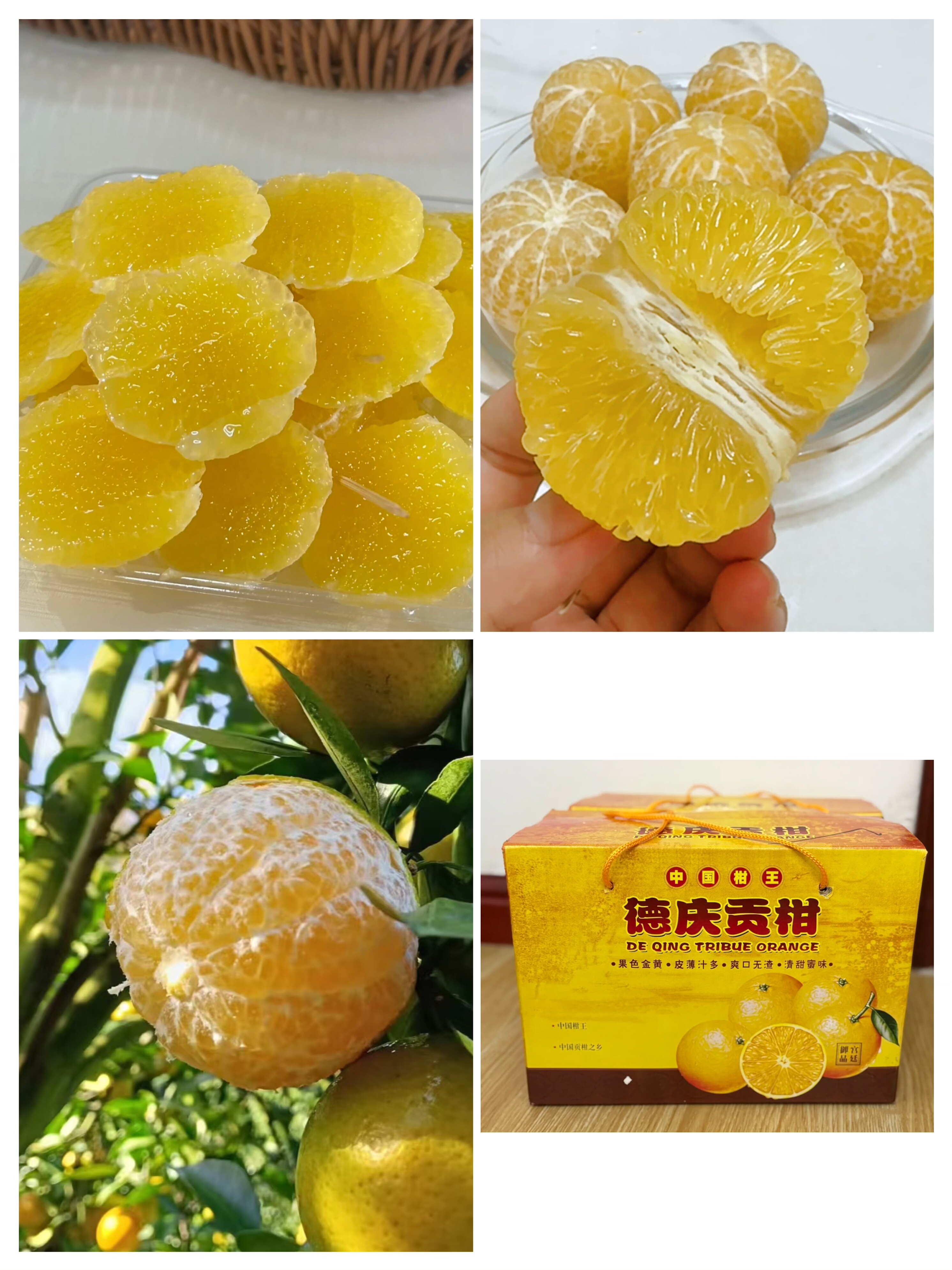 正宗德庆皇帝柑，自家果园，纯甜不酸，10斤一箱，不催熟不打蜡,鲜花速递/花卉仿真/绿植园艺,多肉植物,淘宝优惠券,粉丝福利购,淘宝优惠卷