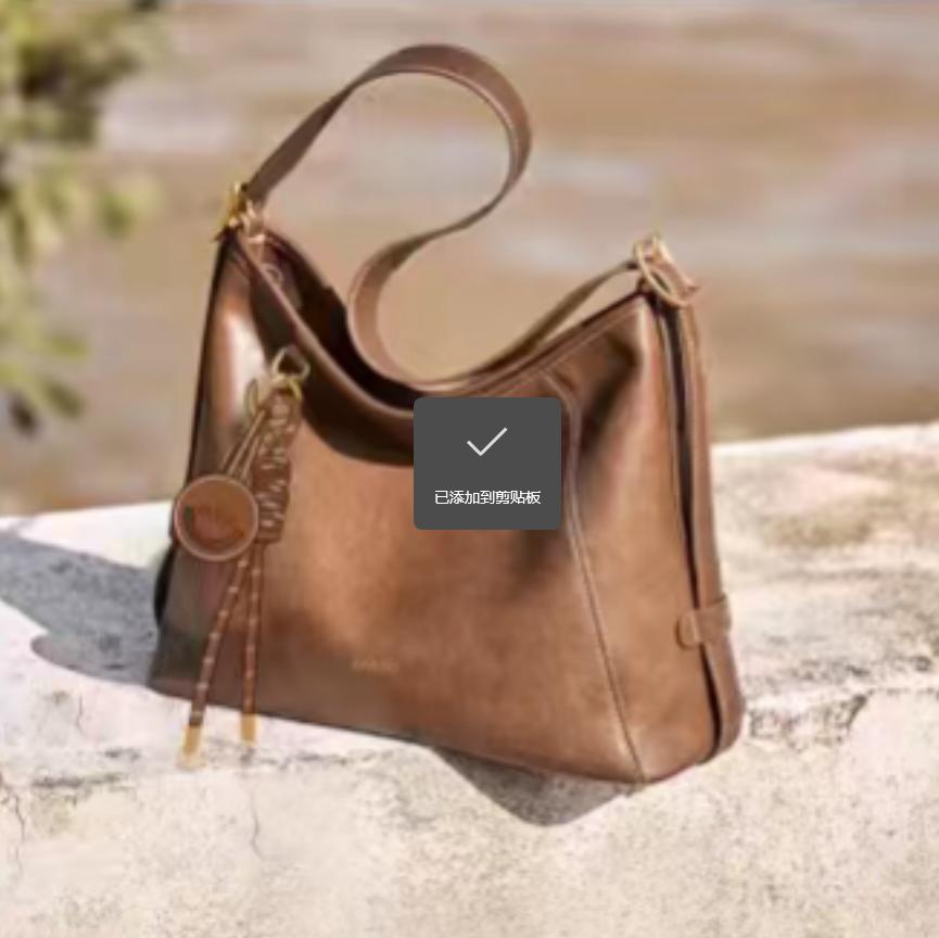 C1037CX5新款单肩包