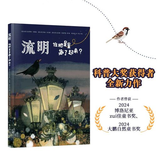 流明谁把星星藏了起来？