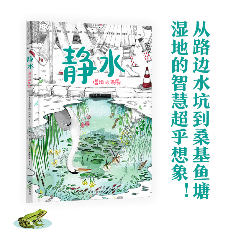 静水:湿地的倒影 博洛尼亚zui佳童书 大鹏自然童书奖获得者全新力作 沼泽化地讲述湿地对自然环境和人类的影响 青少年自然科普读物