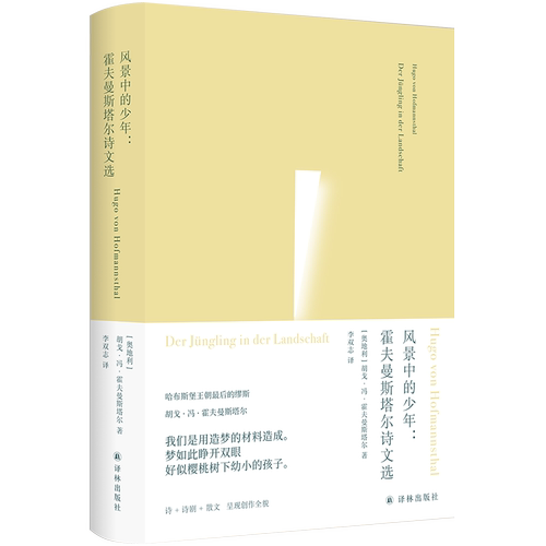 俄耳甫斯诗译丛 风景中的少年：霍夫曼斯塔尔诗文选 霍夫曼斯塔尔代表作精选集备受茨威格和托马斯曼推崇 才俊早成的伟大奇迹译林