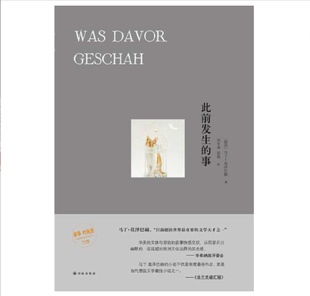 德国文学奖毕希纳奖得主马丁.莫泽巴赫作品 展现当代德国生活 译林出版 事 社 叶兆言推荐 精装 余华 此前发生 情感故事