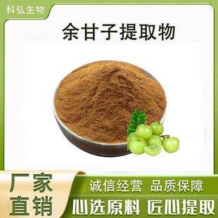 余甘子提取物20:1余甘子萃取余甘子粉固体饮料添加现货价优余甘子