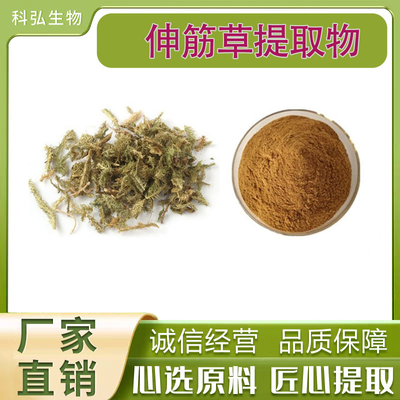 伸筋草提取物高比例萃取