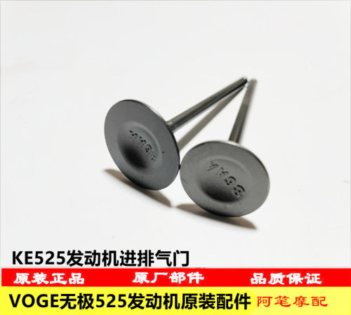 隆鑫500-R无极552R 525DS KEL500 525发动机原装进气门排气门