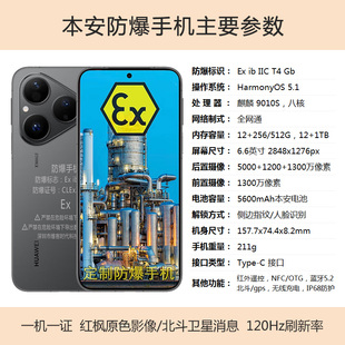 P80防爆手机化工石油天然气制药粉尘防爆NFC巡检卫星电话IP68防护
