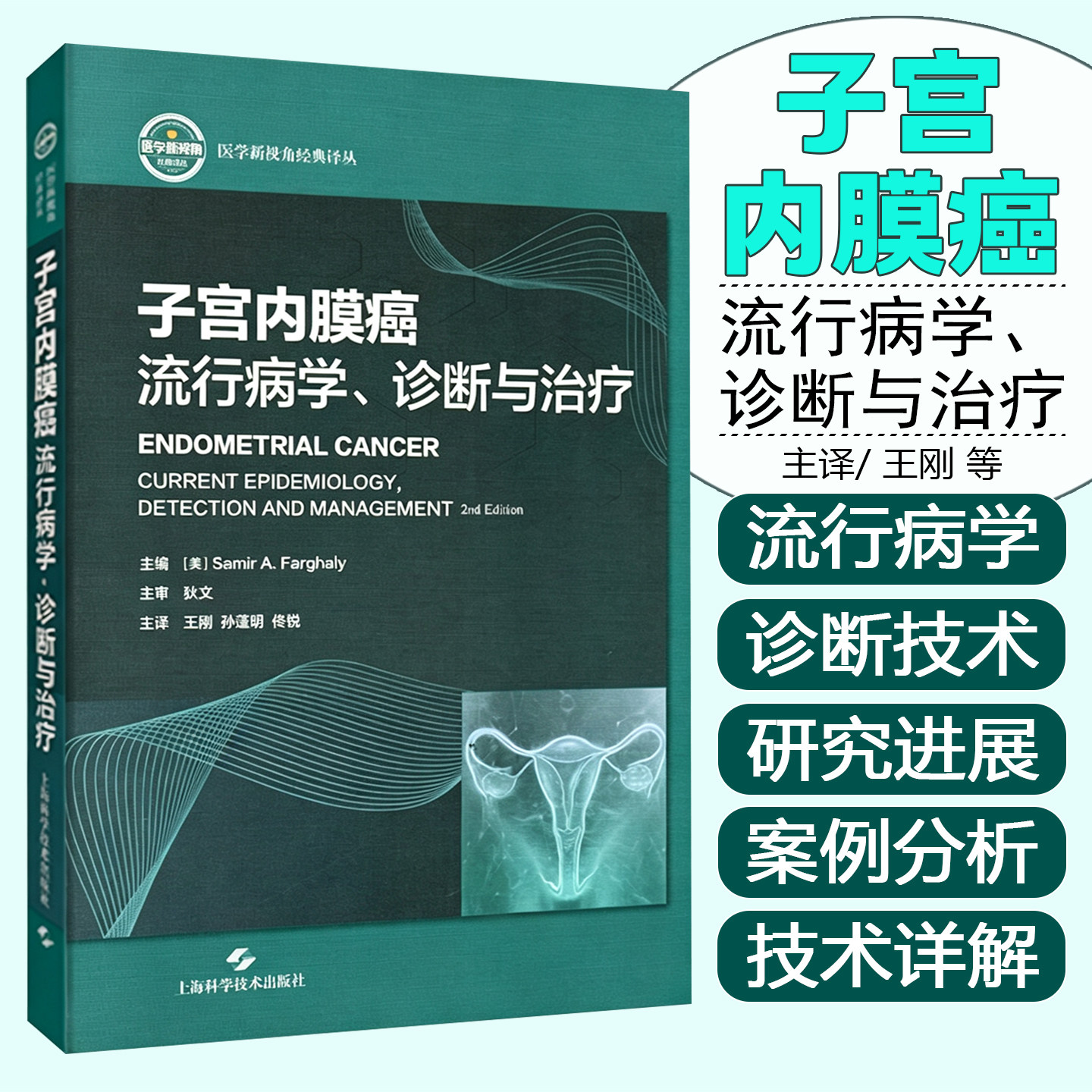 子宫内膜癌流行病学诊断与治疗王刚孙蓬明佟锐上海科学技术出版社9787547876091
