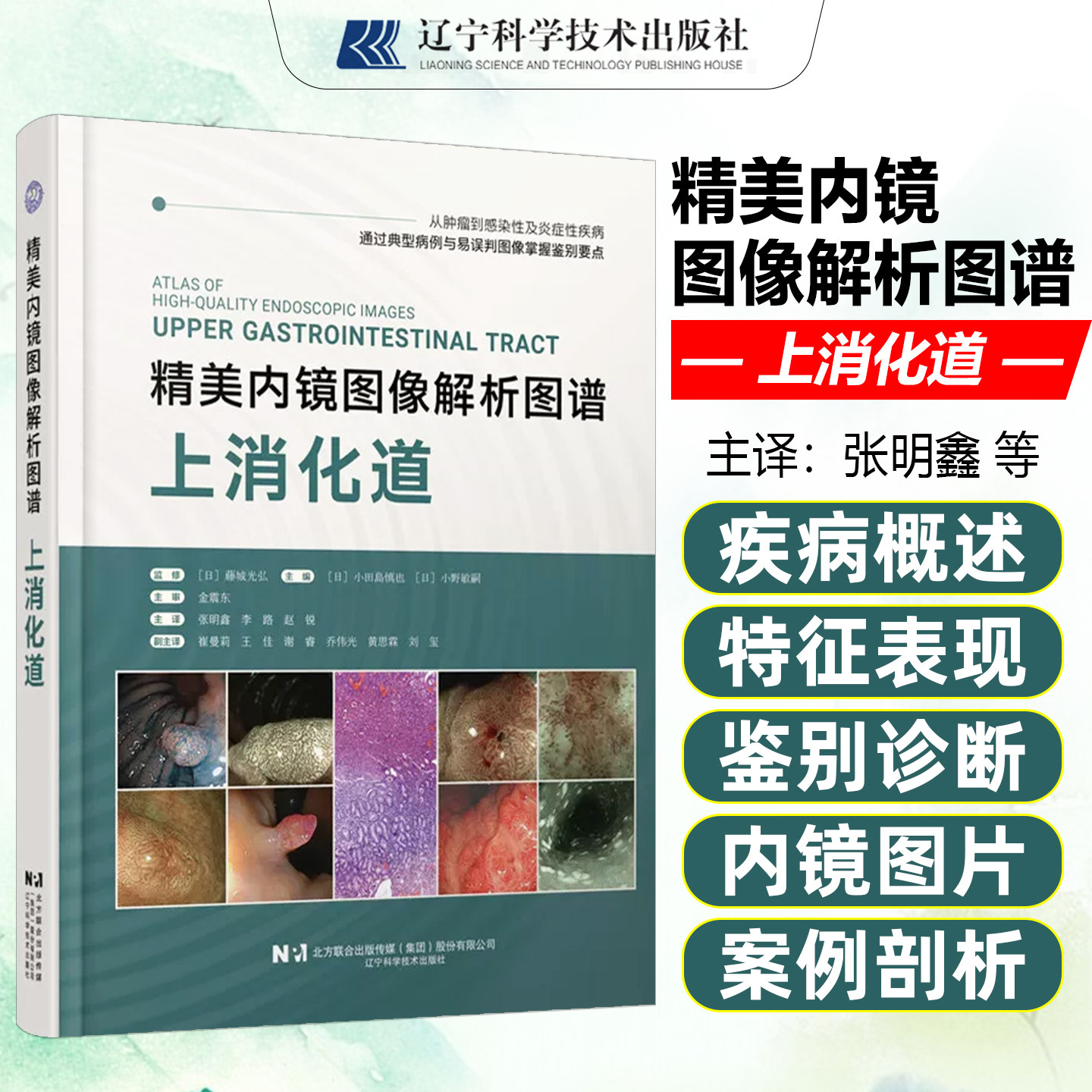 精美内镜图像解析图谱上消化道 从肿瘤到感染性及炎症性疾病通过典型病例与易误判围像掌握鉴别要点辽宁科技出版社