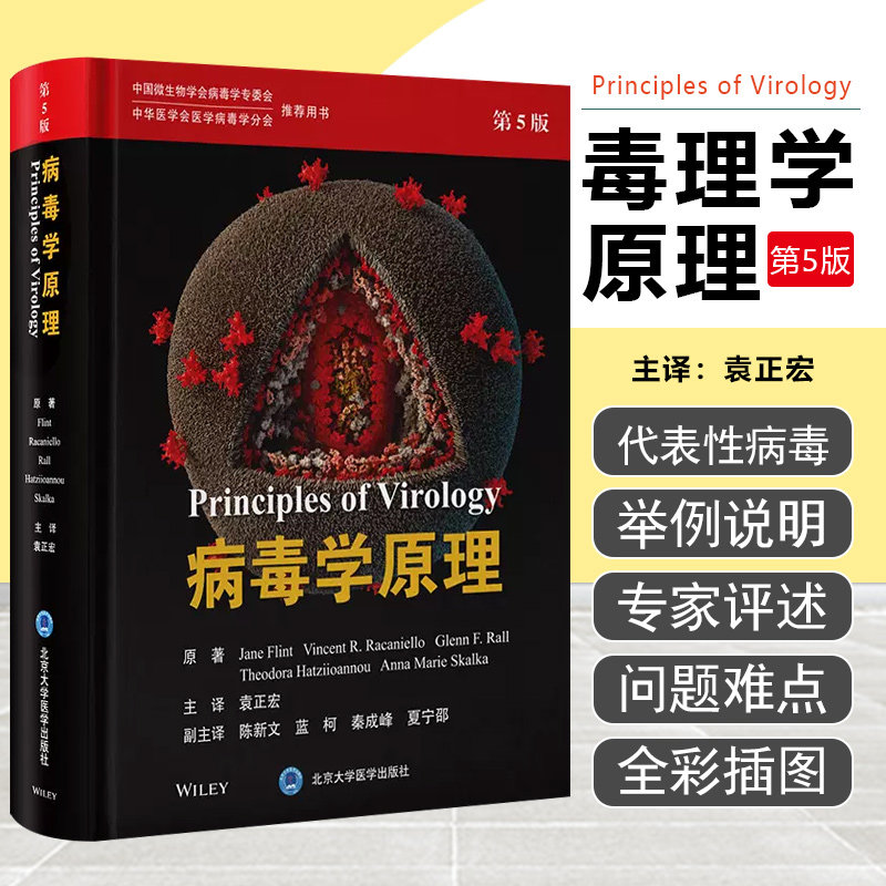 正版保障赠运费险限时特惠