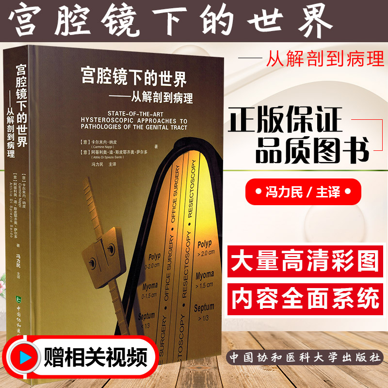 赠运费险正版现货闪电发货