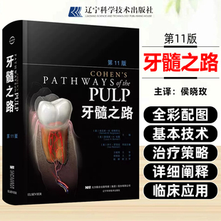 任选 牙髓之路第11版 侯晓玫 根管治疗图谱正畸书籍拔牙技巧 根管治疗书籍口腔种植书籍 口腔医学书籍牙科书籍 辽宁科学技术出版社