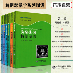 共6册影像解剖学系列丛书 脊柱与四肢影像+颅脑影像+头颈部影像+腹部影像+盆部与会阴影像+胸部影像解剖图谱山东科学技术出版社