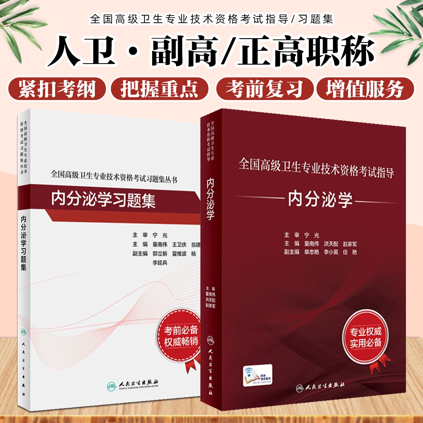 正版 2两本套装 全国高级卫生专业技术资格考试内分泌学+习题集 高级医师进阶历年真题正高级副高级医师考试教材习题集 人民卫生