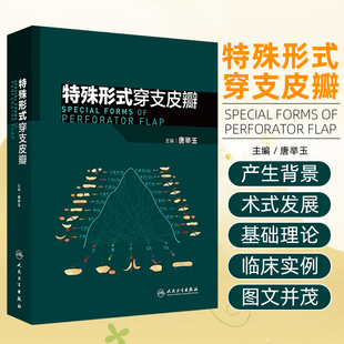 特殊形式穿支皮瓣 人民卫生出版社9787117369077