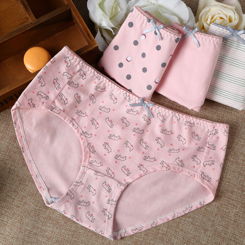 Slip jeunesse C3010 en coton - Ref 640656 Image 3