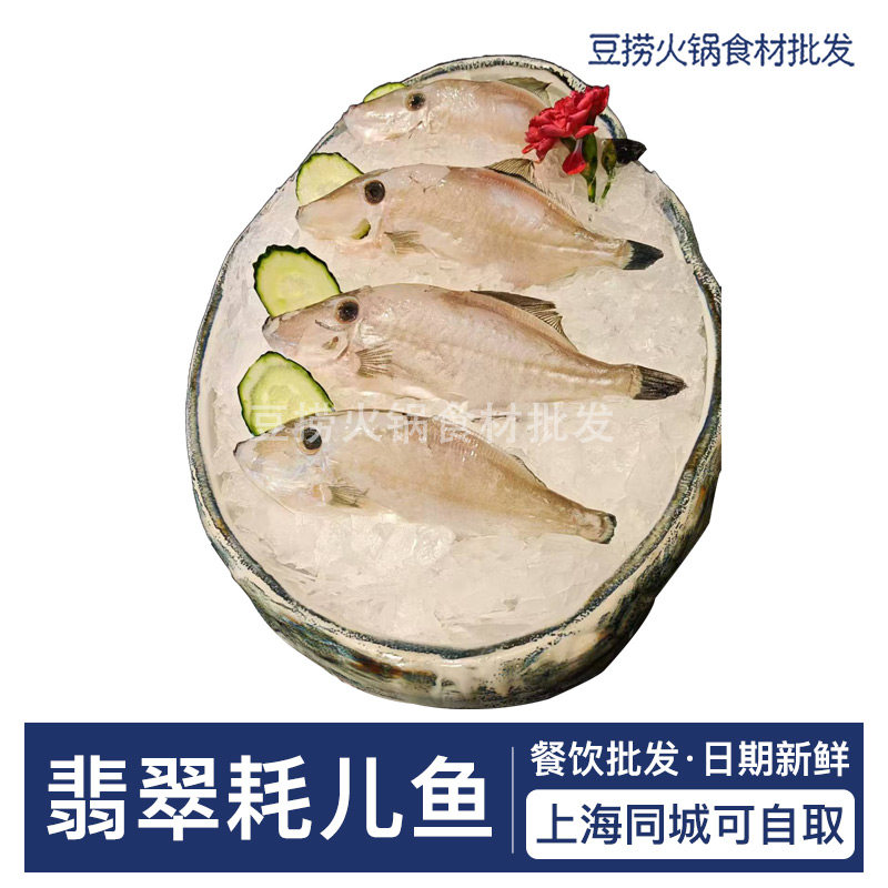 蕊特翡翠耗儿鱼全规格