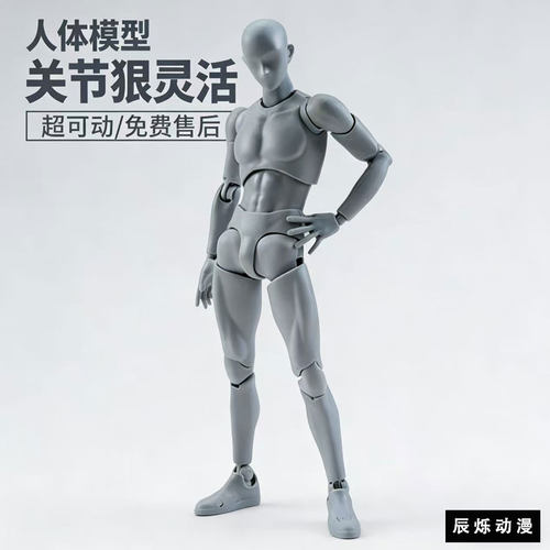万代SHF人体模型素体定格动画人偶可动绘画美术漫画写生素描男女
