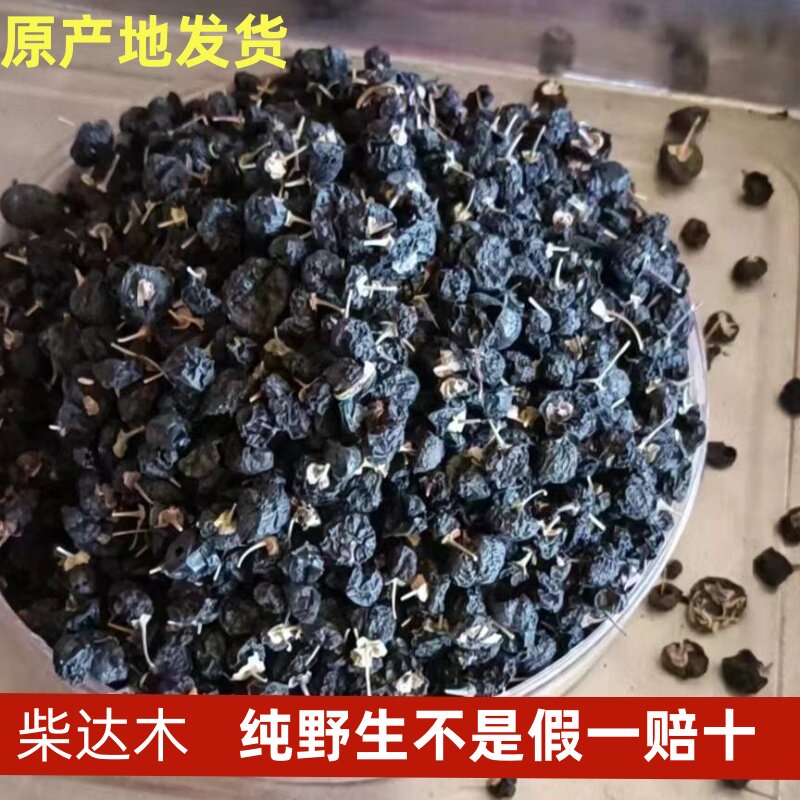 野生诺木洪 黑枸杞500g青花素之王免洗 高原黑枸杞男肾原产地发货