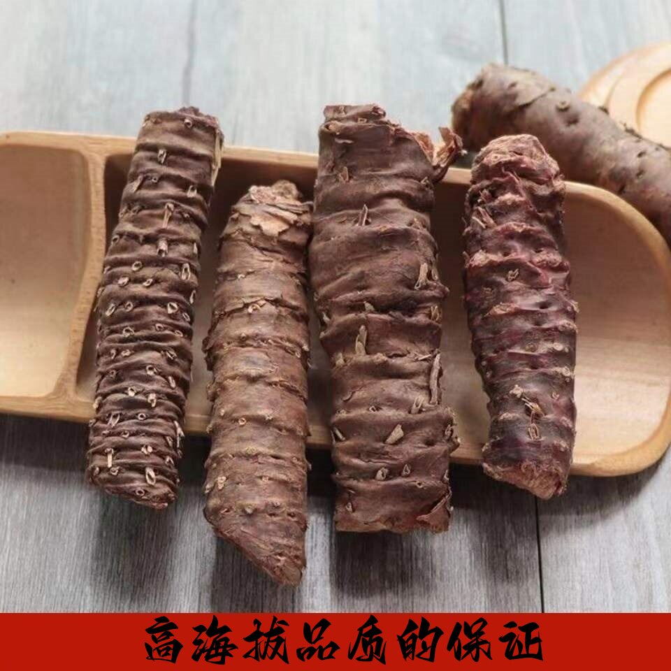 大花野生红景天 中药材500g克切片带皮 抗高反西藏自驾泡茶泡水饮