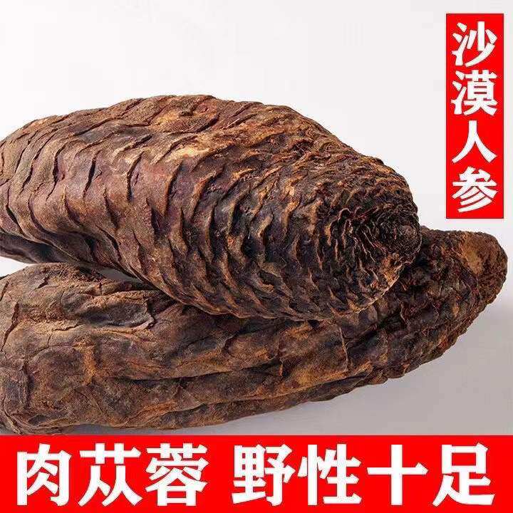 正品内蒙古肉苁蓉片 整根泡茶泡酒搭配切片装非新疆锁阳大根组合