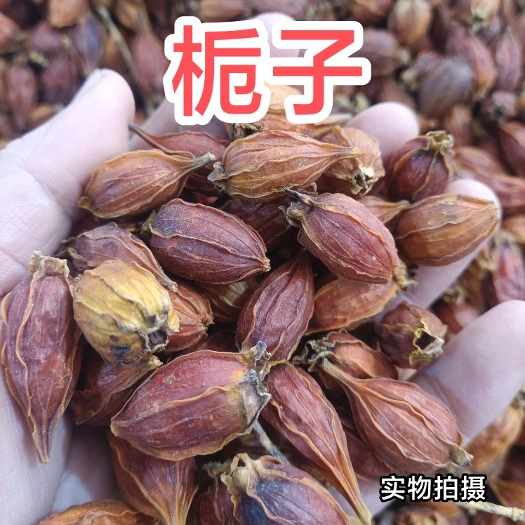 野生栀子果黄栀子栀花茶泡茶卤肉上色天然色素山栀子500g