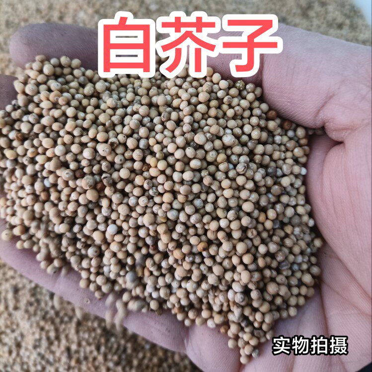 湖南野生中药材白芥子 辣菜子 芥菜子 500g包邮