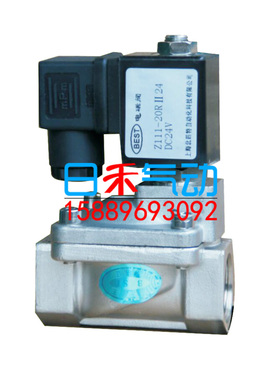上海北四特Z111-25Ib02-RIb02--06RI11黄铜不锈钢AC220V电磁阀