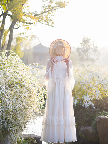 复古大裙摆雪纺绣花蕾丝拼接