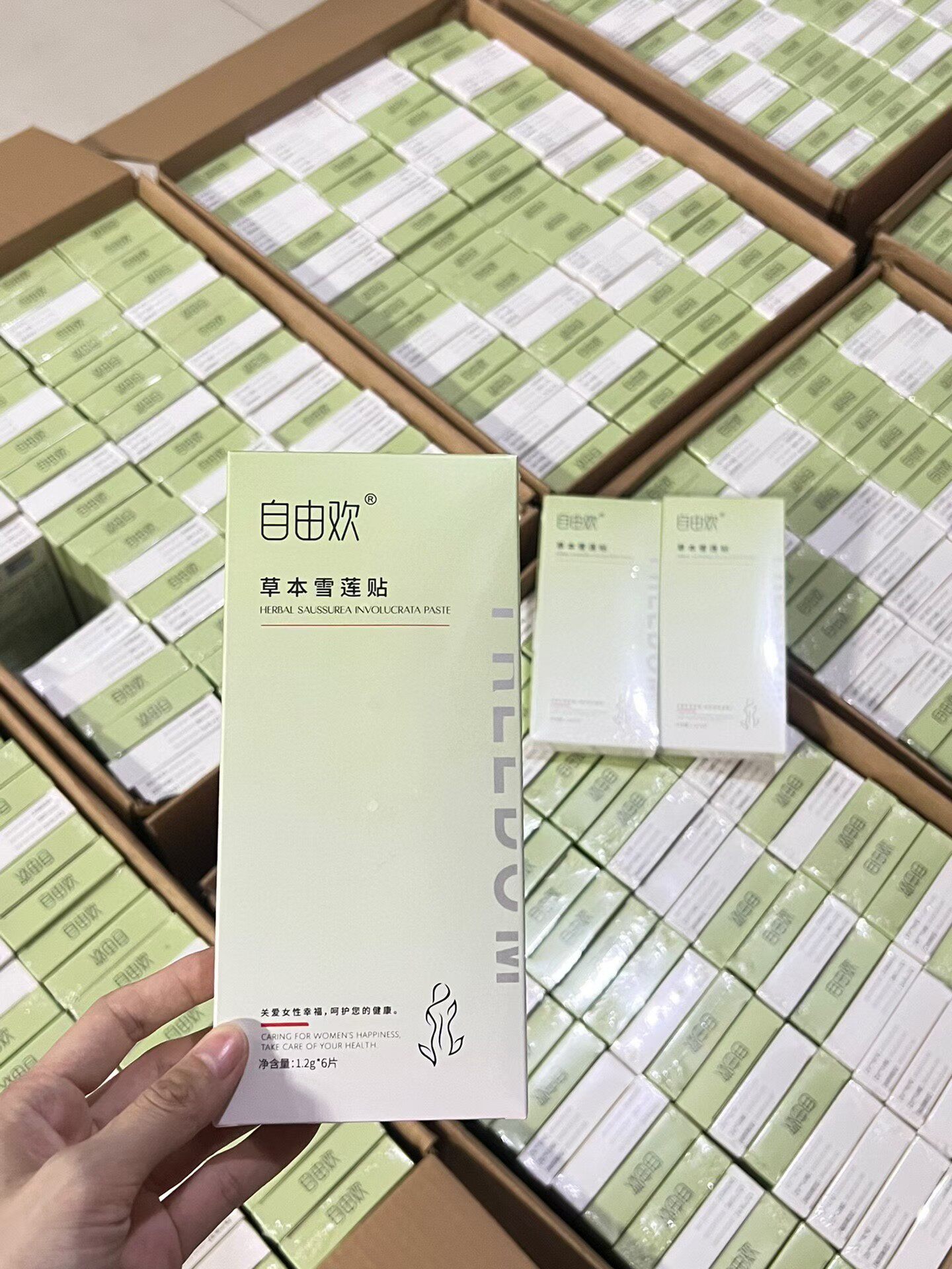 一盒6片自由欢草本护垫雪莲贴5盒30片99包邮护垫女草本养护贴