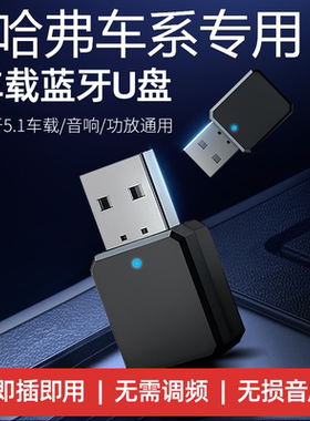 适用哈弗F7F5H6H7H2H4H1H8H3初恋H9大狗M6H5猛龙USB蓝牙接收器aux