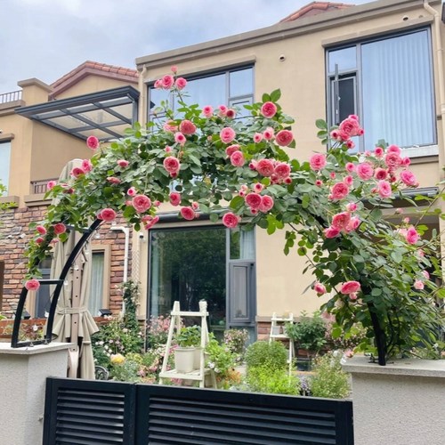 欧式铁艺拱门别墅门头门柱花架