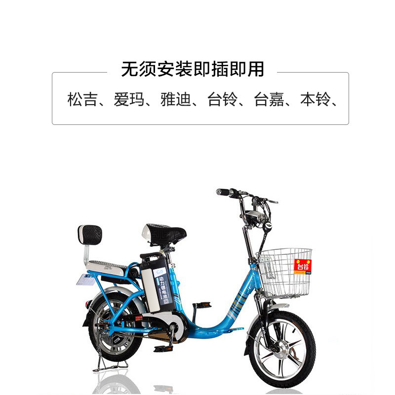 48v台嘉铃愉途柏拉图菲尔电动车锂电池10ah12a15ah通用电瓶车电瓶