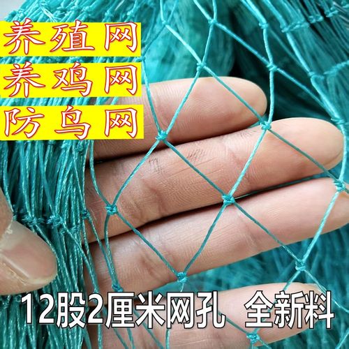 家禽塑料网护栏网菜园围网防护网