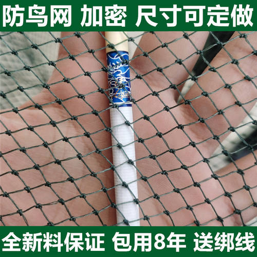 大棚防鸟网尼龙线养鸡天网养殖防鸟天网果树果园防鸟网鱼塘养殖网
