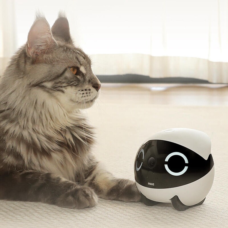 ebo宠物机器人ROLAMini远程遥控全屋移动监控伴宠通话高清摄像头