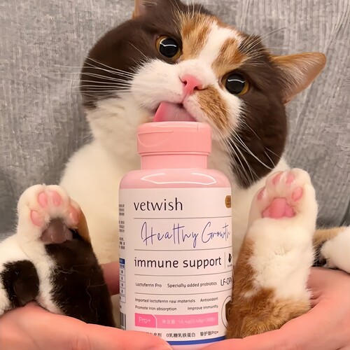 vetwish乳铁蛋白宠物增强免疫力