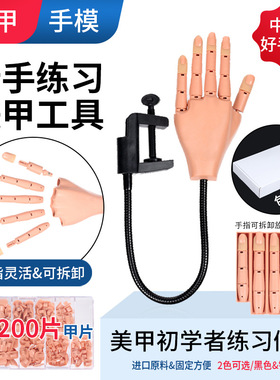 初学者支架模型可拆卸美甲片