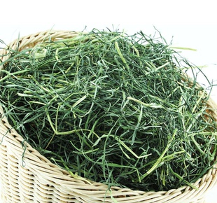 现货秒发全叶 南提 提摩西草净重420g兔子龙猫干草牧草多省包邮