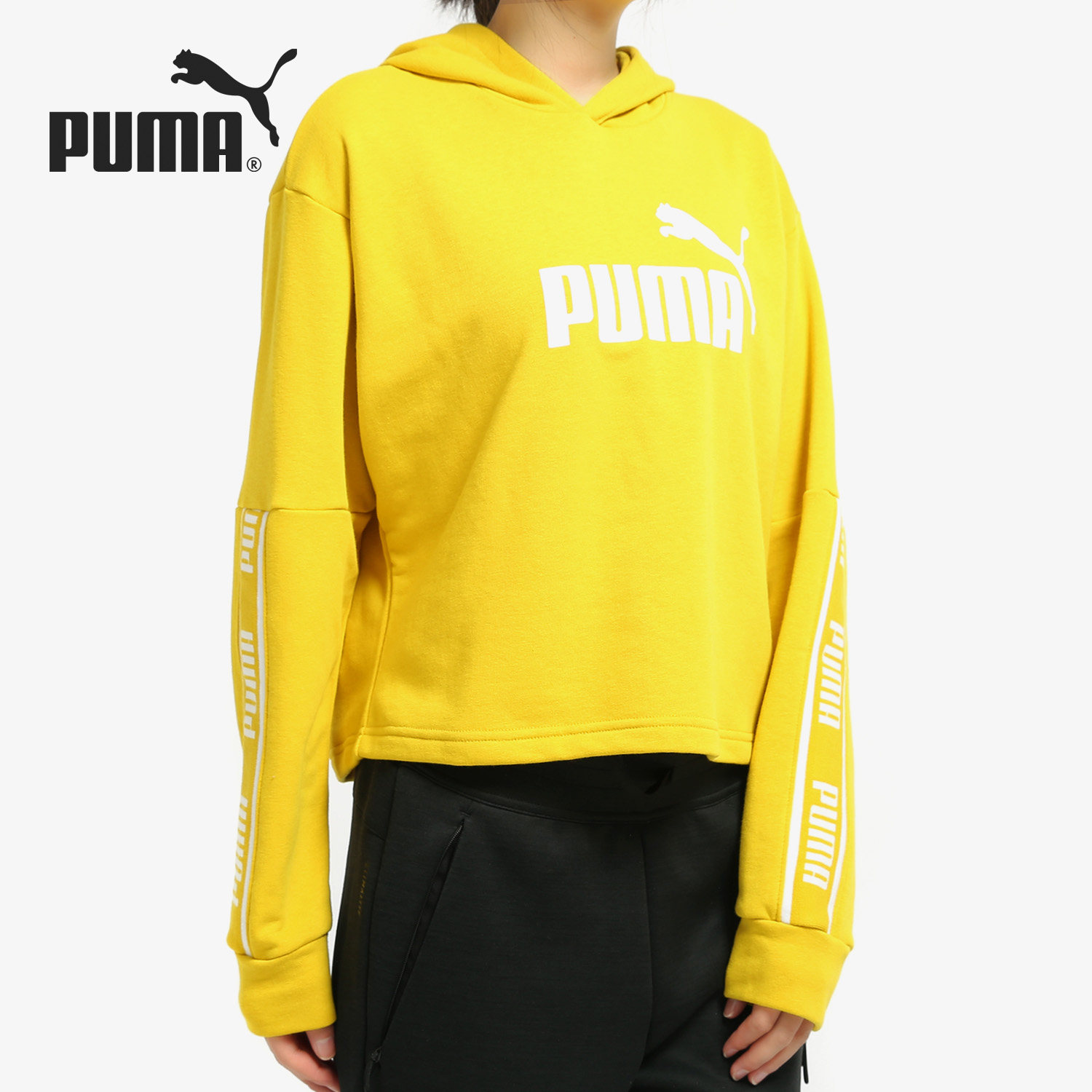 彪马女子休闲连帽卫衣