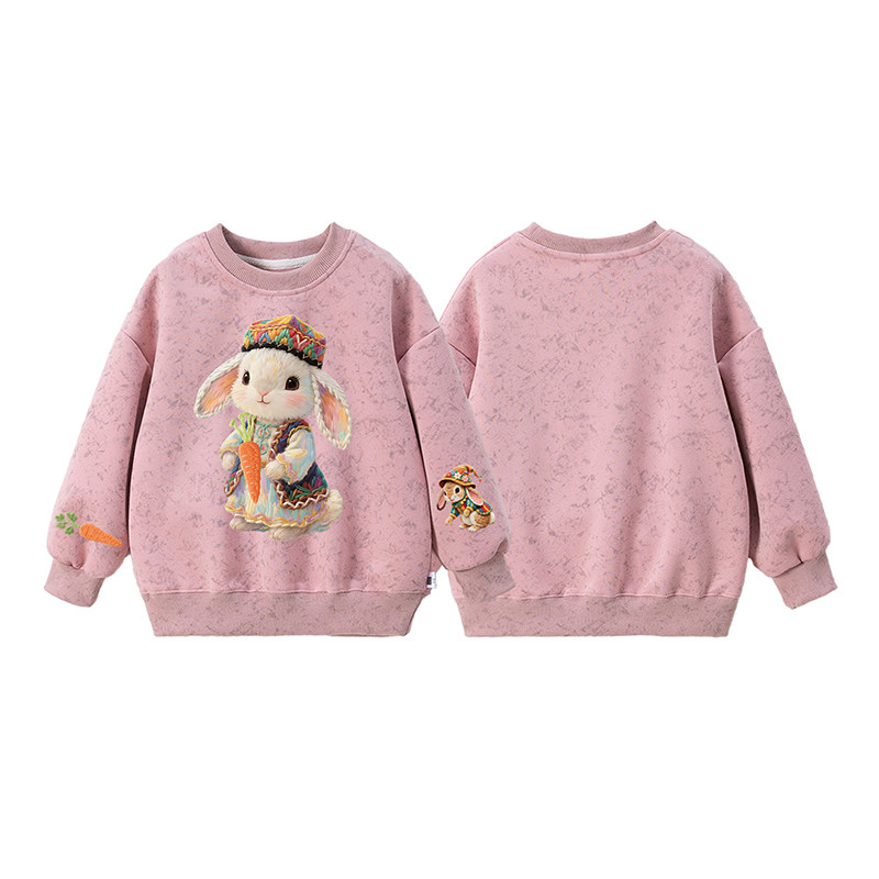 2025韩版童装卫衣萝卜兔儿童长袖春秋百搭潮流洋气卡通