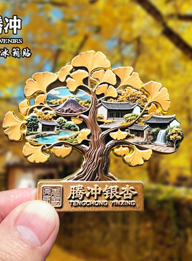 云南腾冲金属冰箱贴磁吸城市地标文创旅游纪念品装饰品伴手礼送人