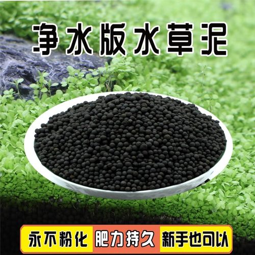 基肥水草种植净水水藻水草泥