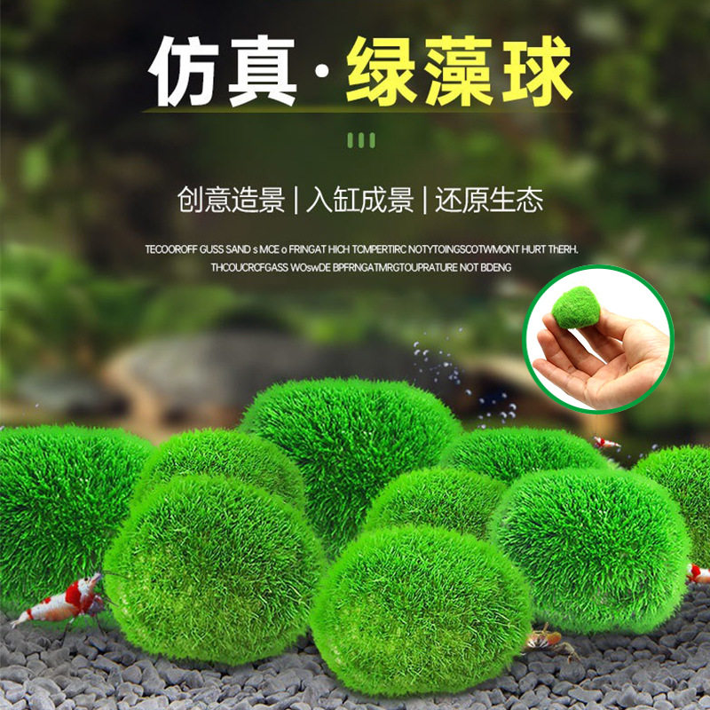水藻球绿藻球生态瓶水草球鱼虾水族箱造景水草海藻球生态球造景球