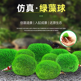 水藻球绿藻球生态瓶水草球鱼虾水族箱造景水草海藻球生态球造景球